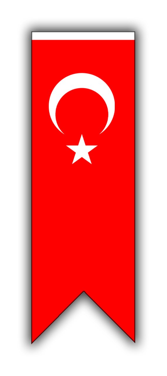 Kırlangıç Flama