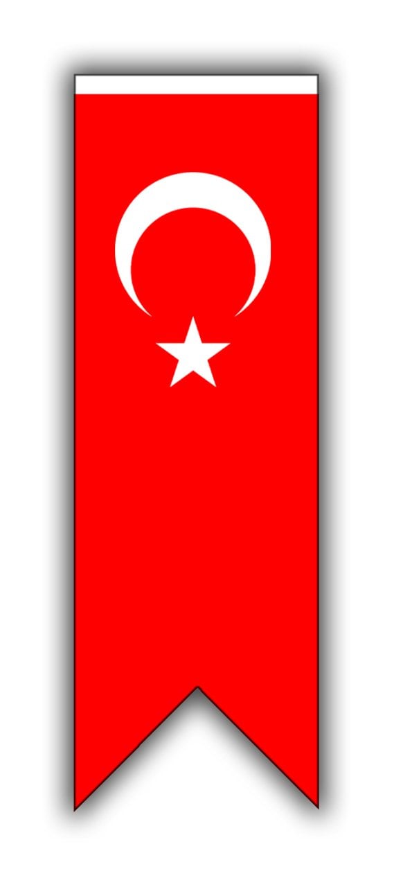 Kırlangıç Flama