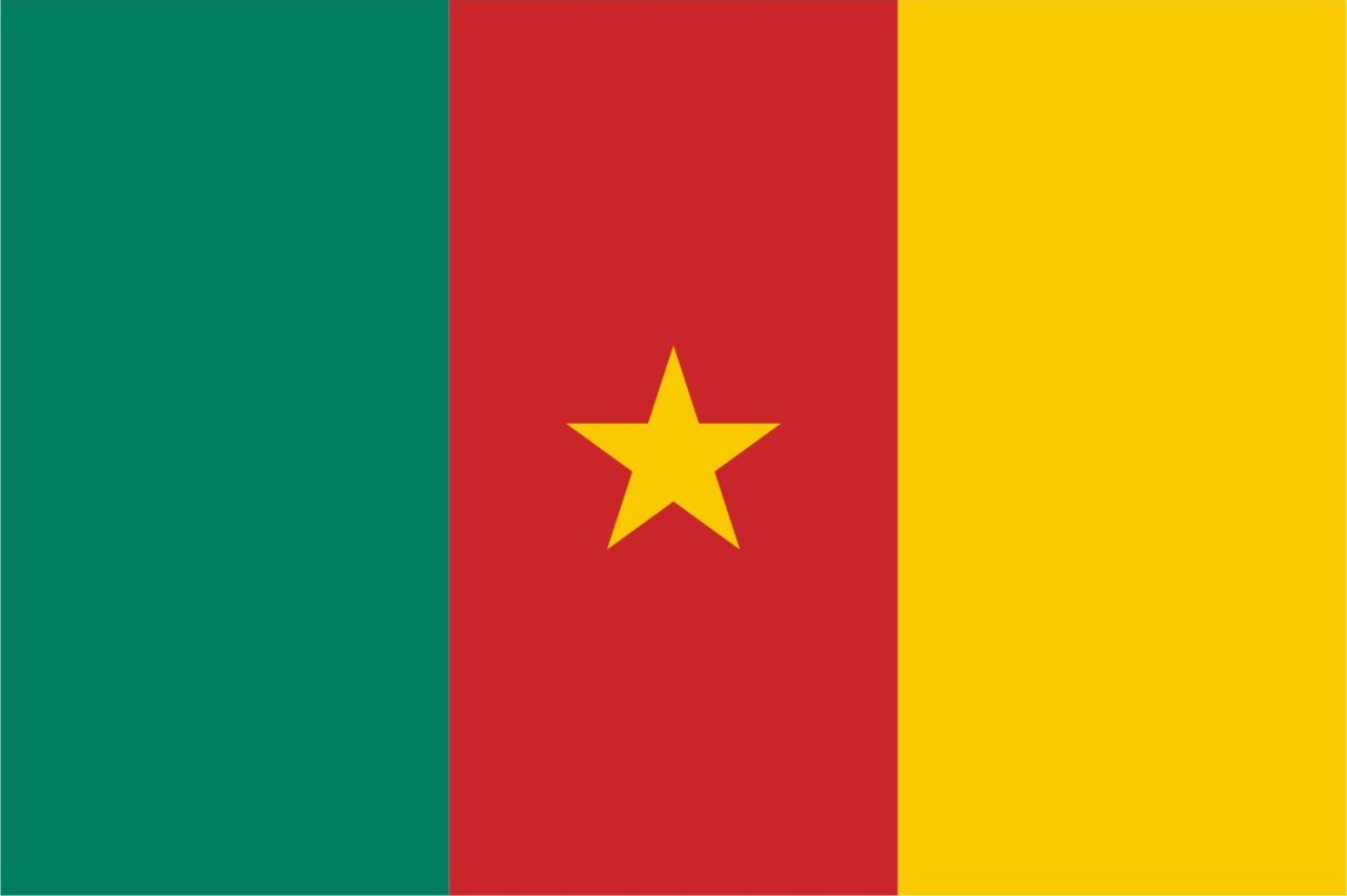 Kamerun Bayrağı