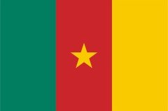 Kamerun Bayrağı