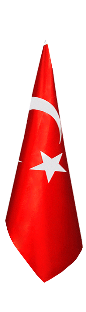 Türk Makam Bayrağı (Telalı)