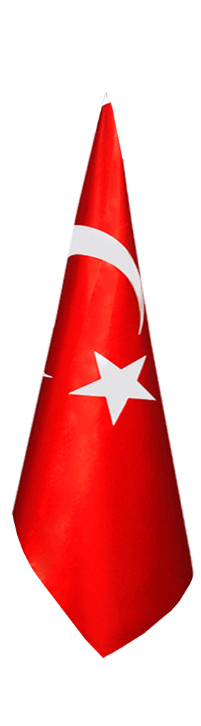 Türk Makam Bayrağı (Telalı)