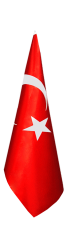 Türk Makam Bayrağı (Telalı)