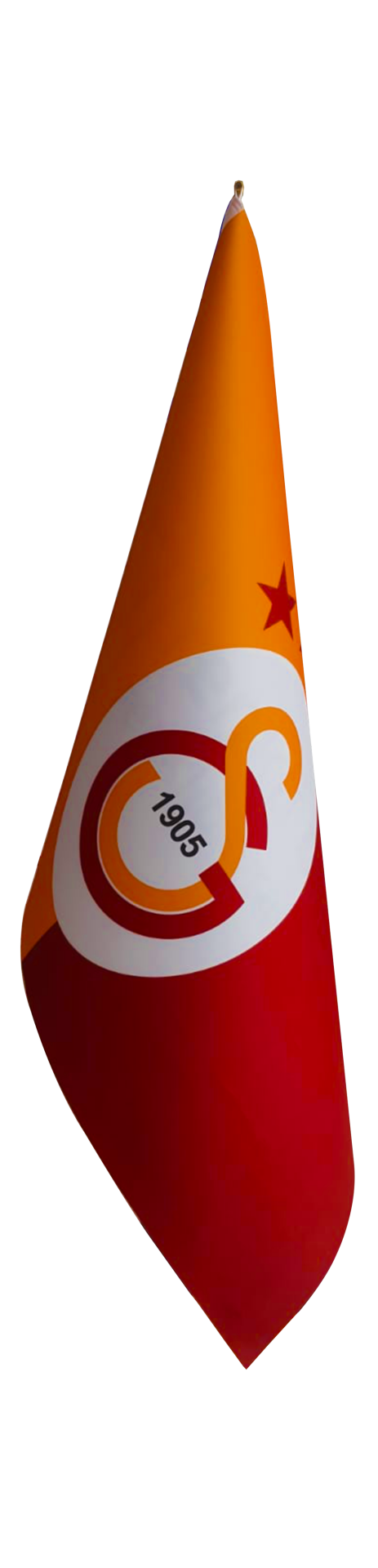 Özel Makam Bayrağı (Telalı)