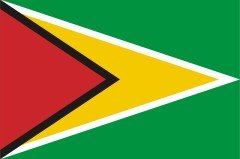 Guyana Bayrağı
