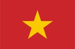 Vietnam Bayrağı