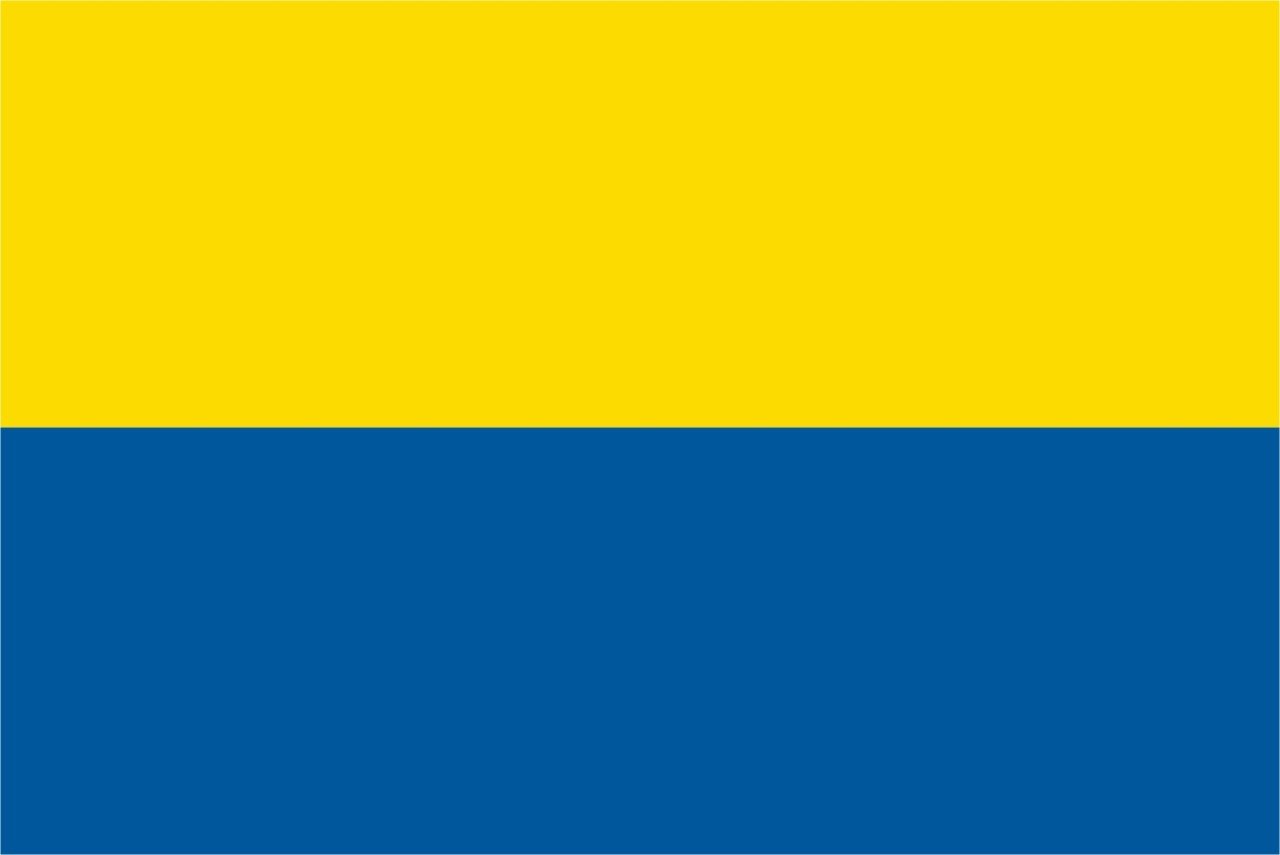 Ukrayna Bayrağı