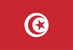 Tunus Bayrağı