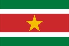 Surinam Bayrağı