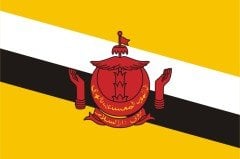 Brunei Bayrağı