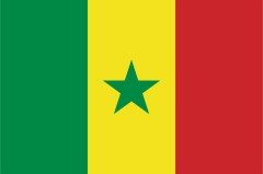 Senegal Bayrağı