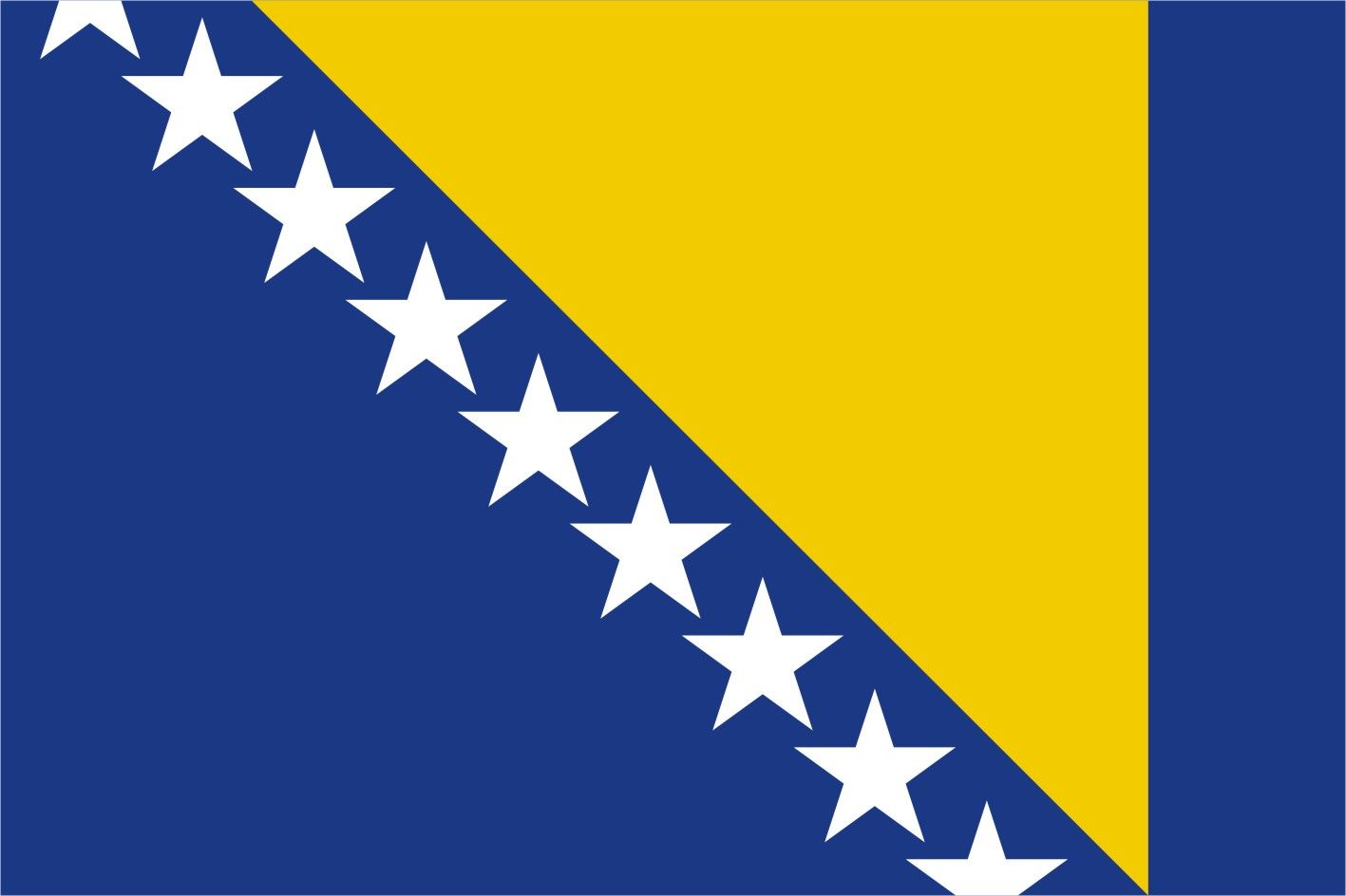 Bosna Hersek Bayrağı